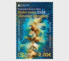 Europa, Underwater Fauna 2024