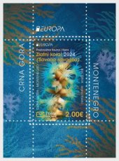 Sheet Europa, Onderwaterwereld 2024