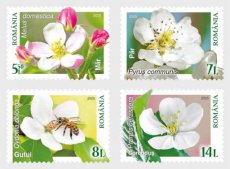 Complete set Bloemen 2025