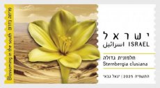 Bloemen 2025