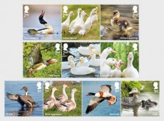 Complete set Eenden 2025