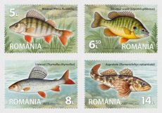 Complete set Vissen 2025