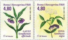 Complete set Flora 2025