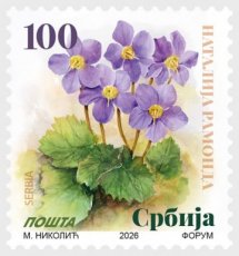 Bloemen 2026