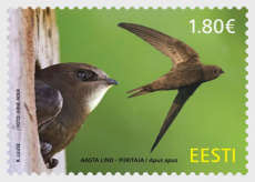 Vogels 2026