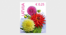 Bloemen 2026