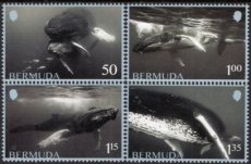 Bermuda - Complete set Walvissen 2025