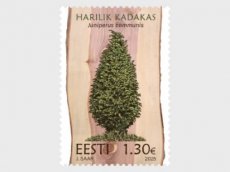 Bomen 2025