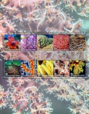 Cocoseilanden - Complete set Koralen 2025