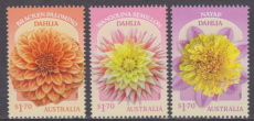 Complete set Dahlia´s 2026