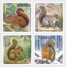 Complete set Eekhoorns 2025