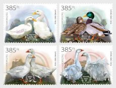 Complete set Eenden 2025