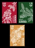 Complete set Flora 2025