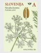 Complete set Flora 2026