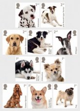Complete set Honden 2024
