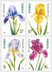 Complete set Irissen 2026
