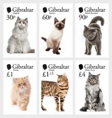 Complete set Katten 2025
