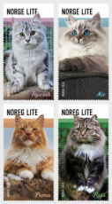 Complete set Katten 2026