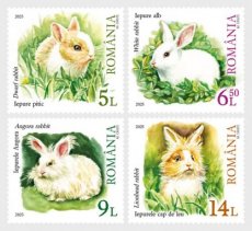 Complete set Konijnen 2025