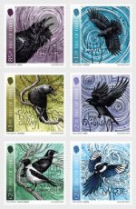 Complete set Kraaien 2024