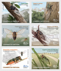 Complete set Krekels 2026