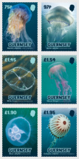 Complete set Kwallen 2026