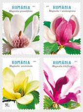 Complete set Magnolias 2025