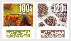 Complete set Natuur 2026