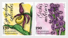 Complete set Orchideeën 2026