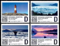 Complete set Patagonia 2025