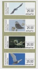 Complete set Sneeuwuilen 2025