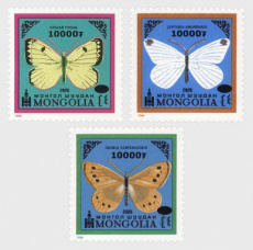 Complete set Vlinders 2026