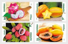 Complete set Vruchten 2025