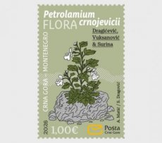 Flora 2026