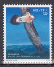 Gier 2025