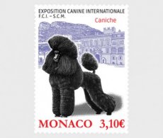 Hondenshow 2026