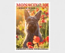 Internationale Hondenshow 2025