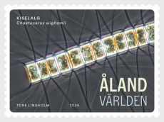 Micro-Algen 2026