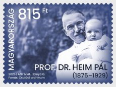 Prof. Dr Pal Heim 2025