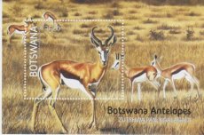 Sheet Antilopen 2025
