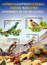 Sheet Biodiversiteit 2025