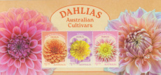 Sheet Dahlia´s 2026