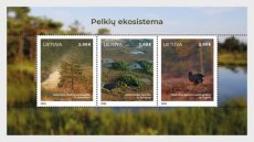Sheet Ecosysteem 2026