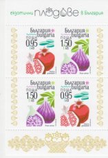 Sheet Exotische Vruchten 2025