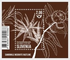 Sheet Flora 2025