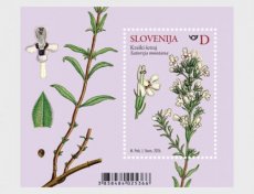 Sheet Flora 2026