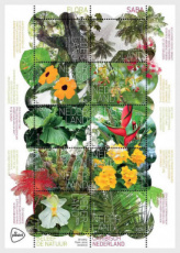 Sheet Flora van Saba 2026