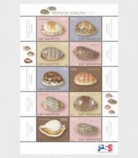Sheet Schelpen 2025