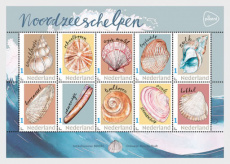 Sheet Schelpen 2026