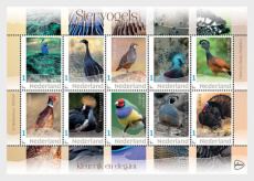 Sheet Siervogels 2026